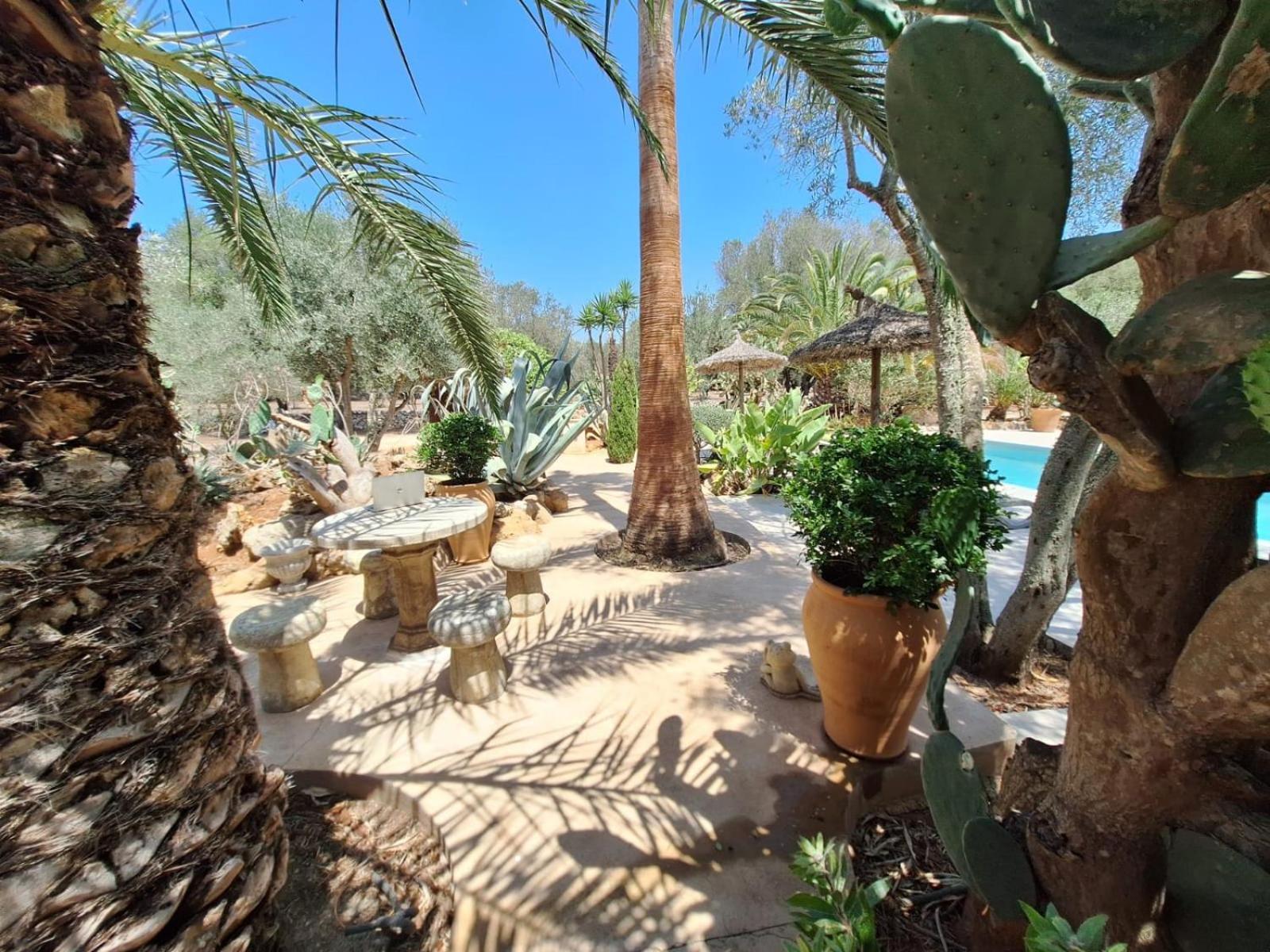 Redonda 2 Ferienhaus Costitx (Mallorca)